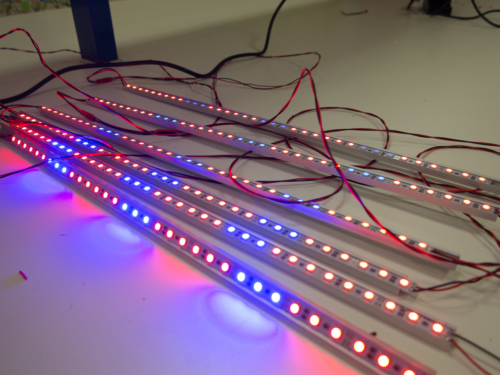 20170310 JdL Hidropónico 057.jpg